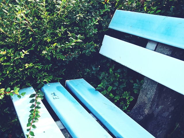 是对温格执 是对温格执