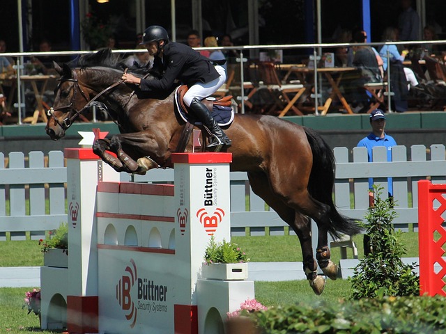 地方旅游经 地方旅游经